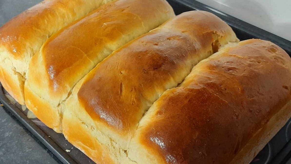 RENDE 4 PÃES MUITO FOFINHO